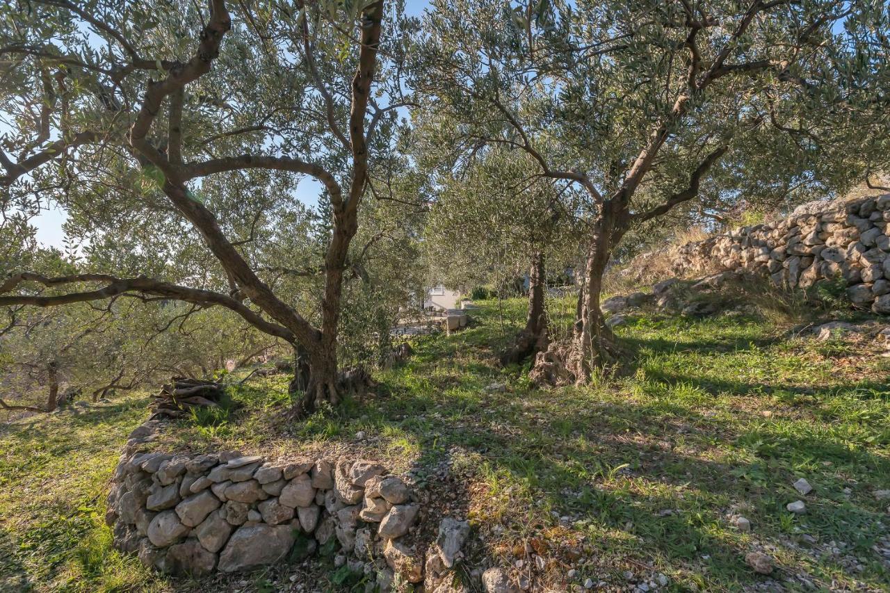 The Art Of Mediterranean Living Makarska Eksteriør bilde